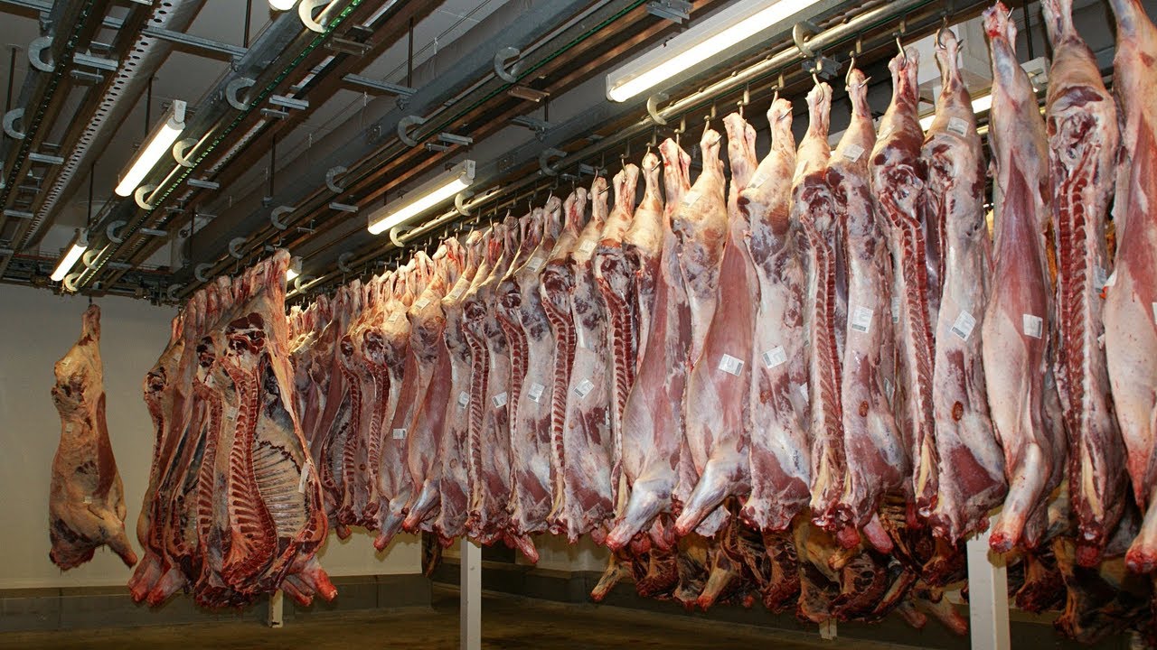 Herkesin severek tükettiği et fiyatlarında sert yükseliş…