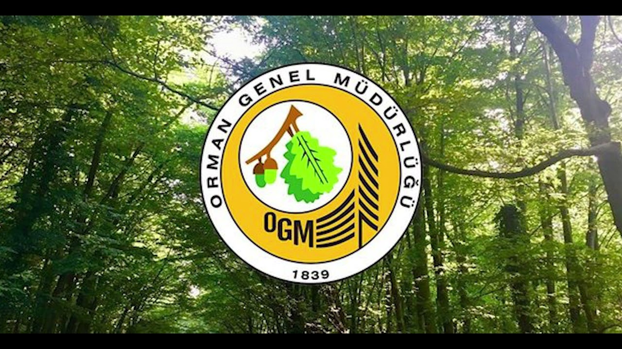 OGM (Orman Genel Müdürlüğü) sözleşmeli personel alımı: Son başvuru tarihi ve detaylar
