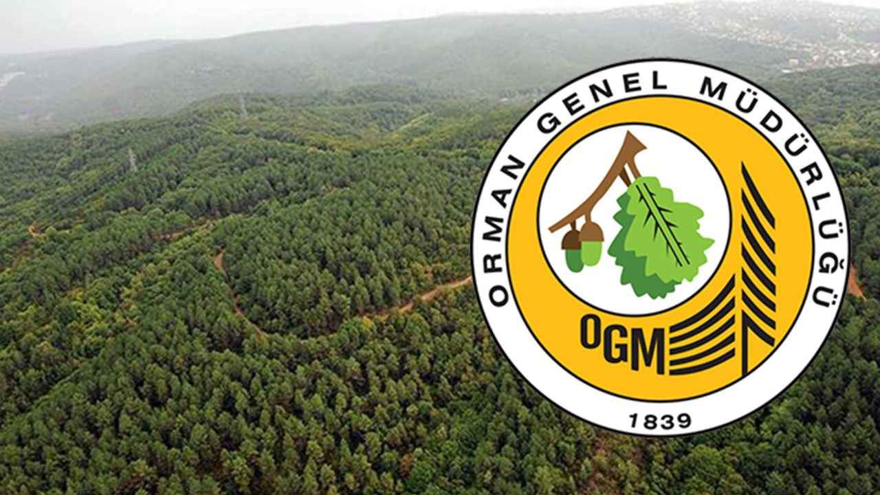Orman Genel Müdürlüğü iş ilanı: 64 işçi alımı yapılacak!