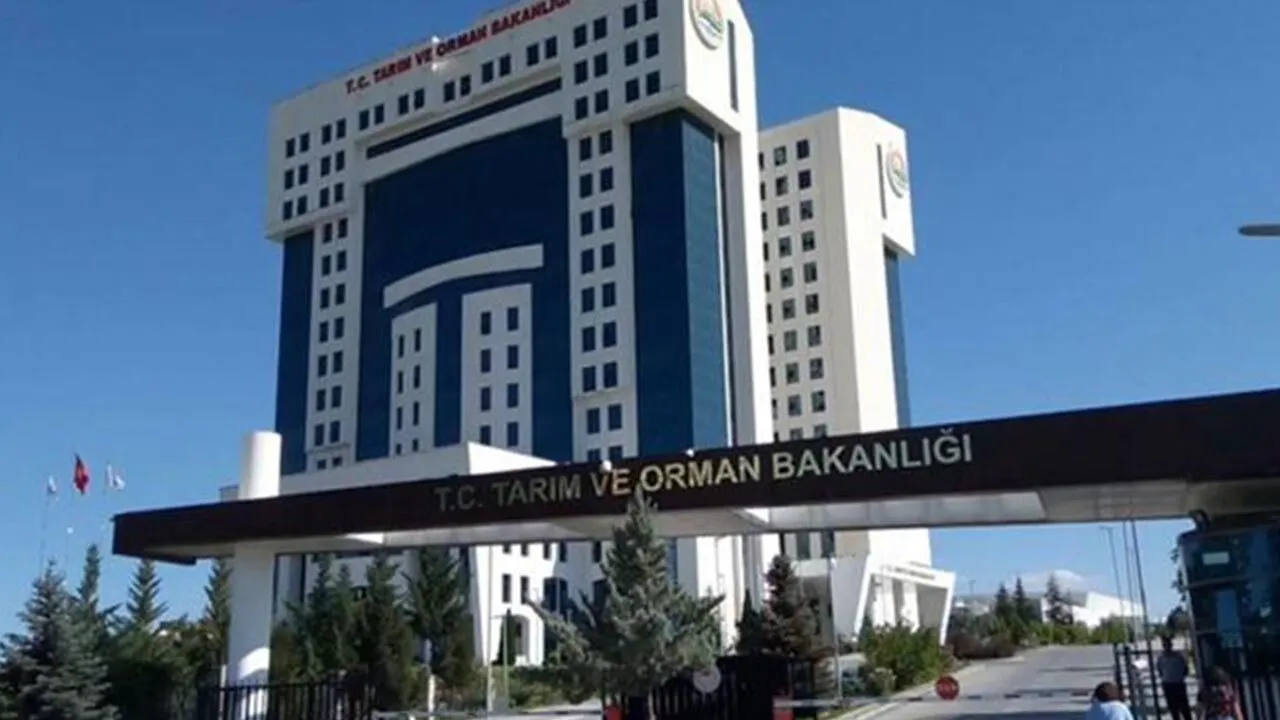 Tarım ve orman bakanlığından 3 ilçede 20 kişilik kontenjan!