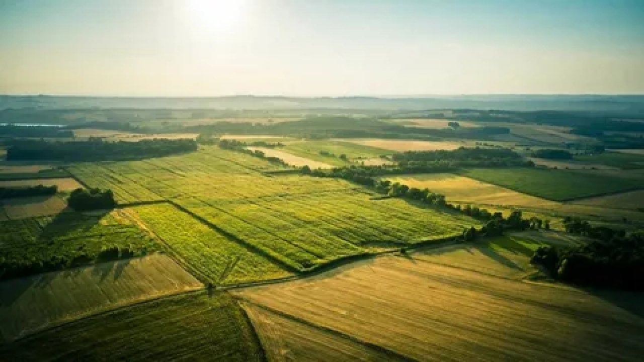 Milli Emlak’tan yatırım fırsatı: Sivas’ta merkezî konumda arsa satışı başladı…