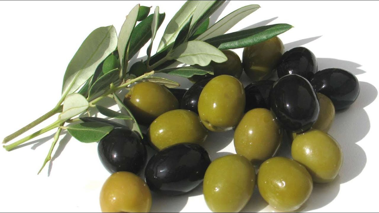 Zeytin üretim maliyeti belli oldu: 1 kilogram zeytin kaç TL oldu?